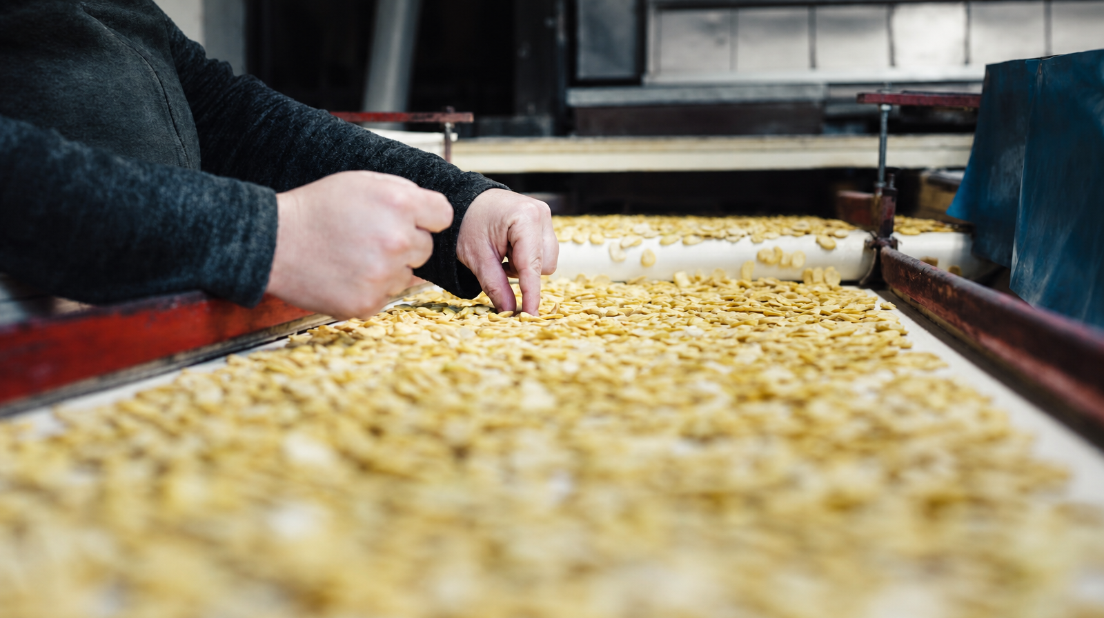 Cómo elegir una báscula automática de control de peso para líneas de producción de alimentos: una guía completa de selección