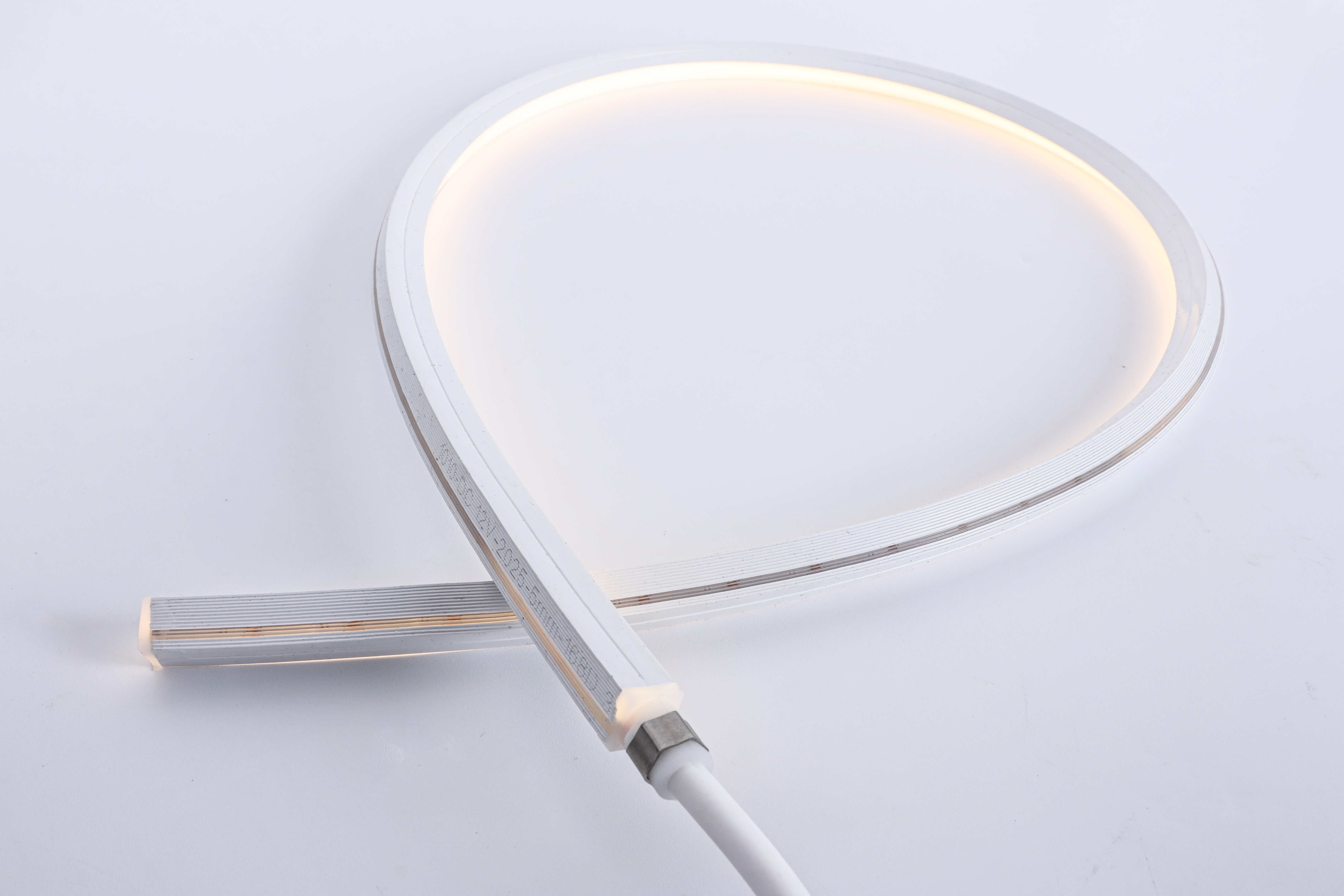 Silicone LED Neon Strip Light, DC 24V Tri-CCT 3-in-1, IP68 Flexible Bend for Signage & Architectural Accent Lighting