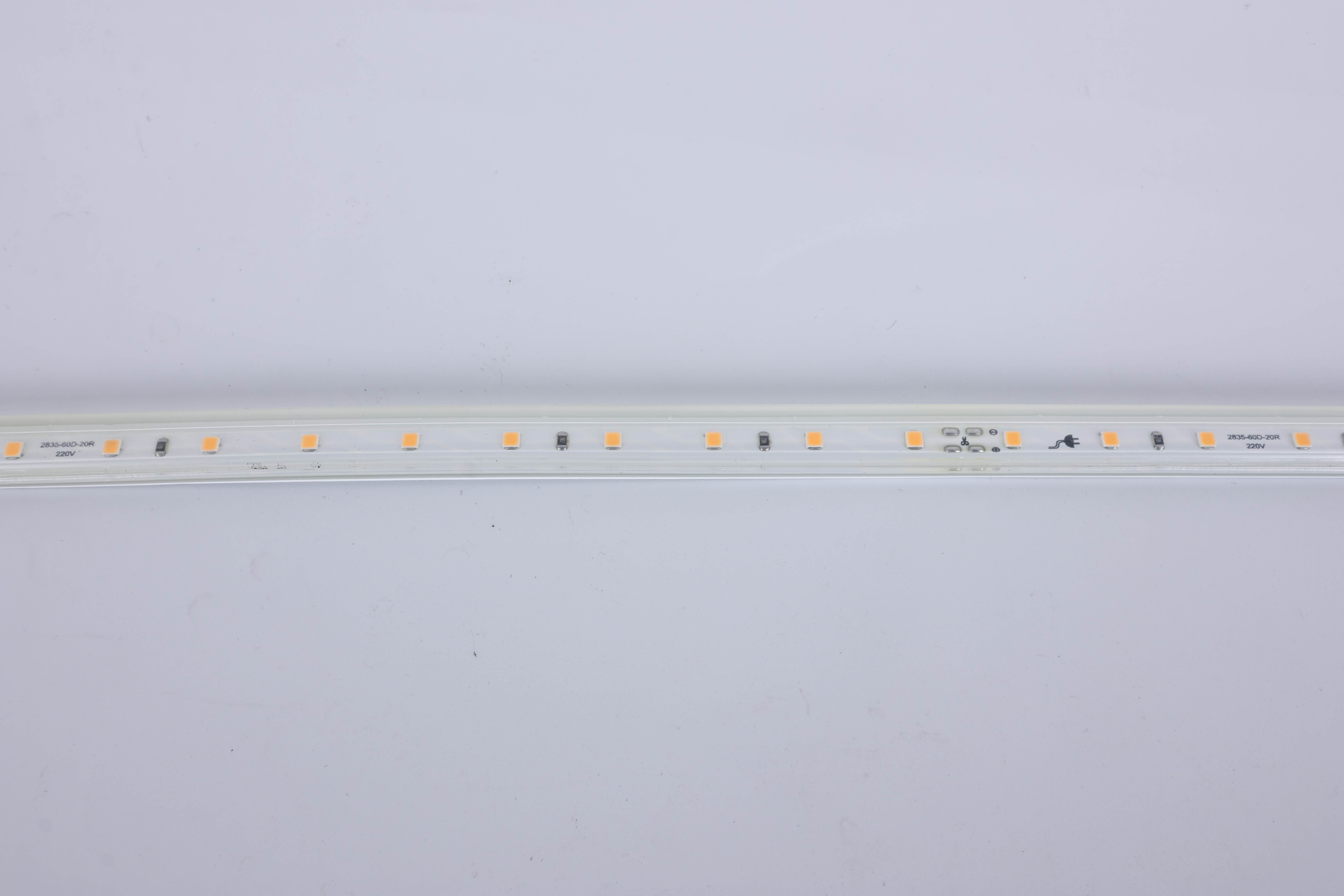 220V High Voltage LED Strip Light, 60 LEDs/M Single Color AC 220V-240V, IP65 11.5mm Profile for Outline & Facade Lighting