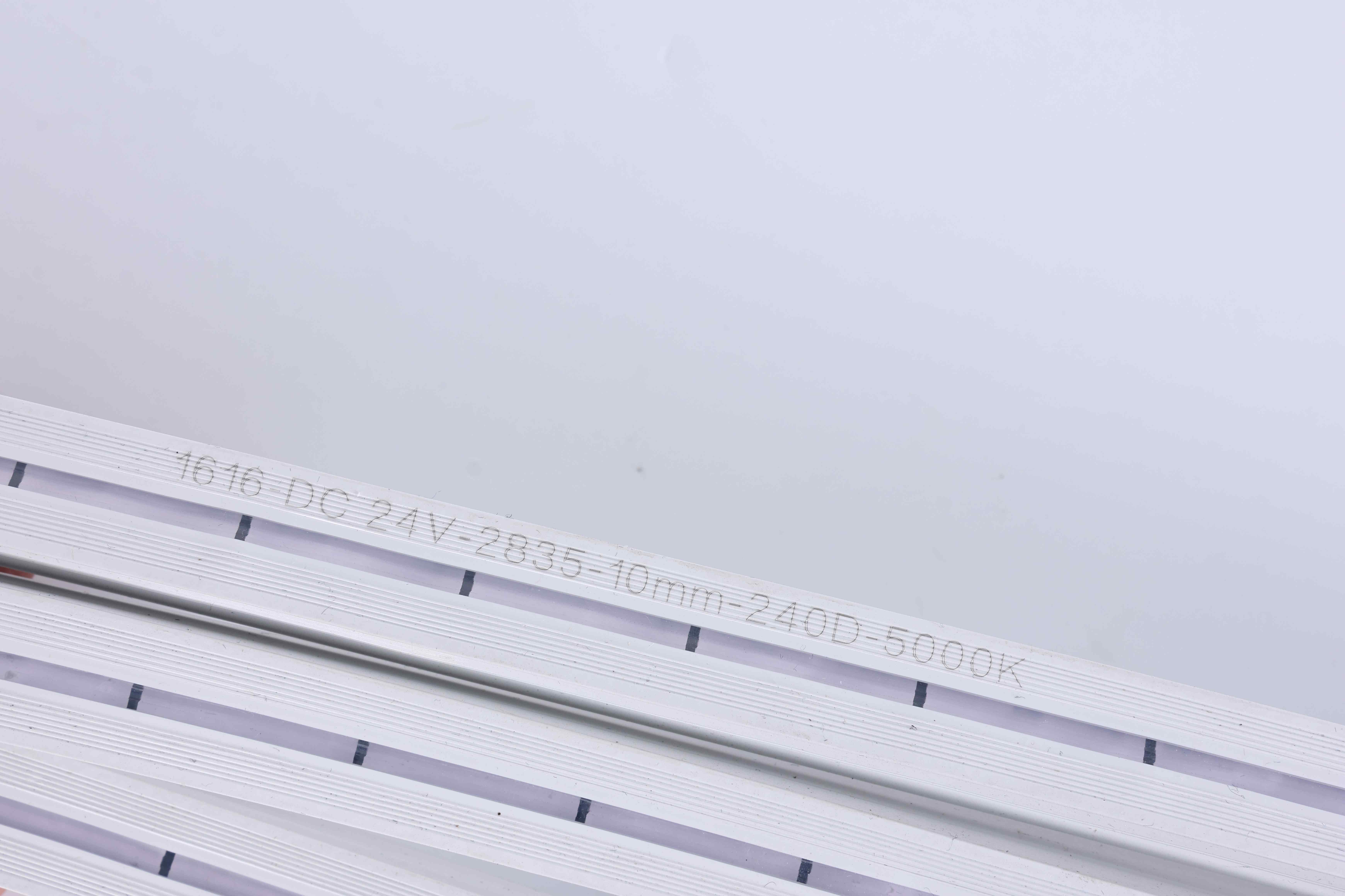 AW5A0824.JPG