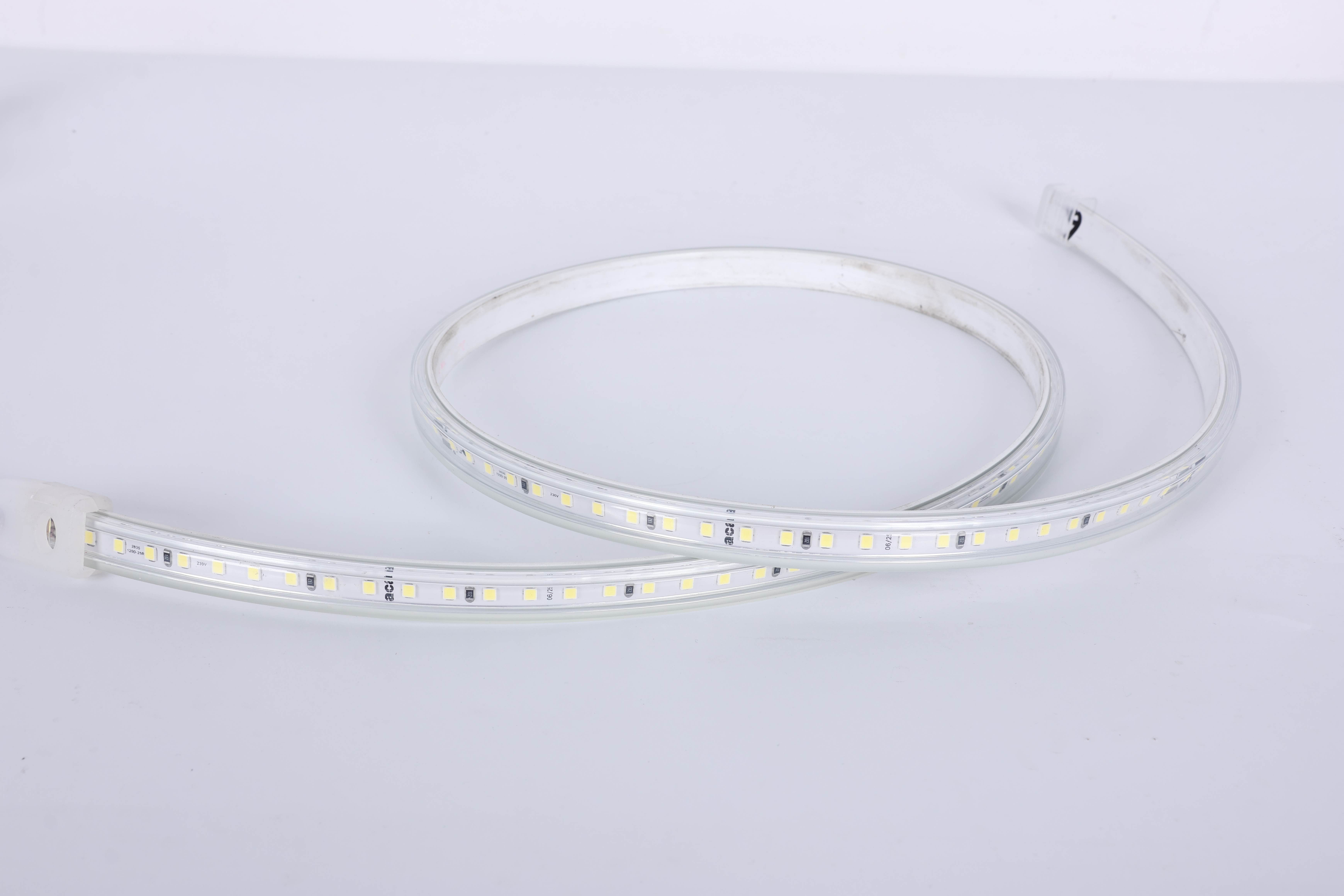 220V High Voltage LED Strip Light, AC 220V-240V Dual White IP65, Cuttable Every 1 Meter for Outline & Facade Lighting