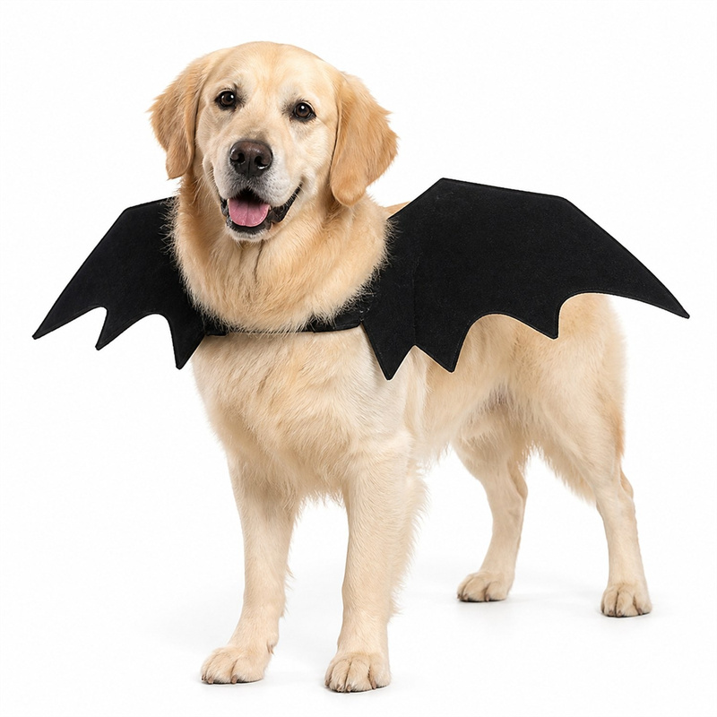 Large bat wing suit