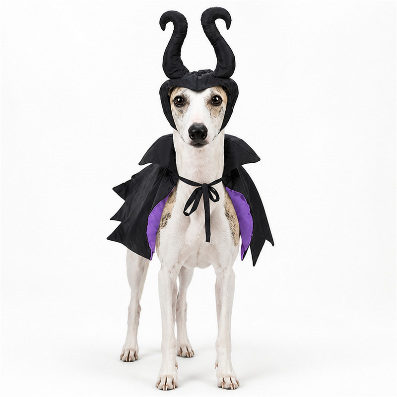 The Dark Night Witch's Cloak