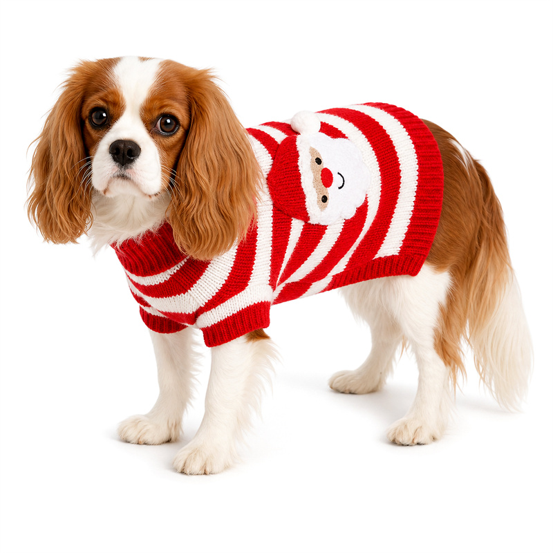 A red Santa Claus sweater