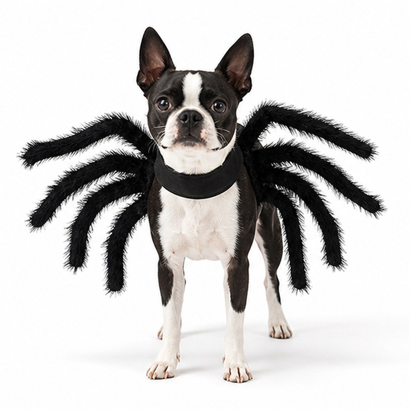 Plush Spider Transformation Outfit