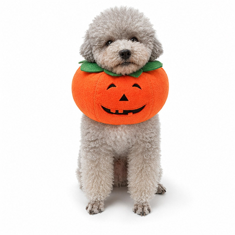 Pumpkin Transformation Outfit