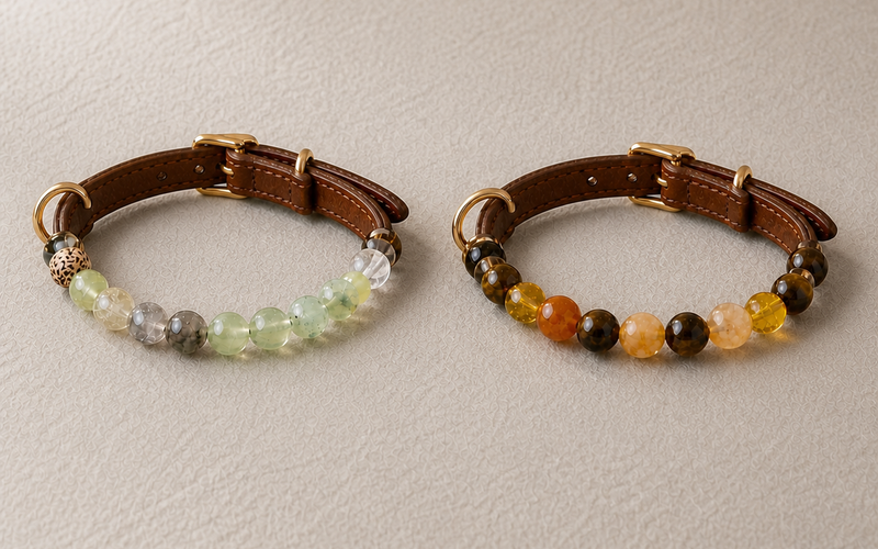 Pet jewelry