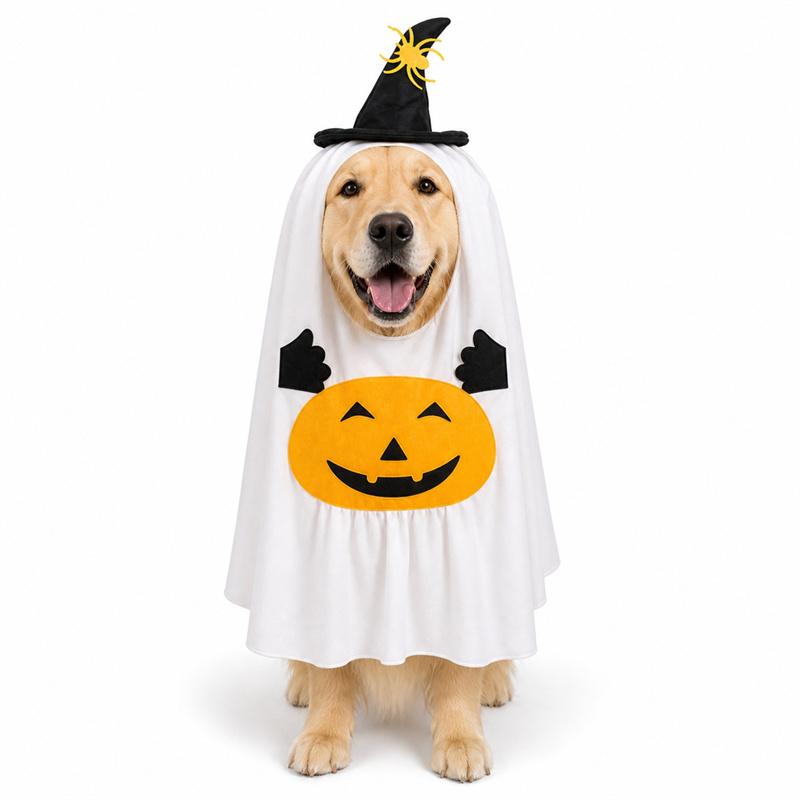 Pumpkin Ghost Transformation Outfit