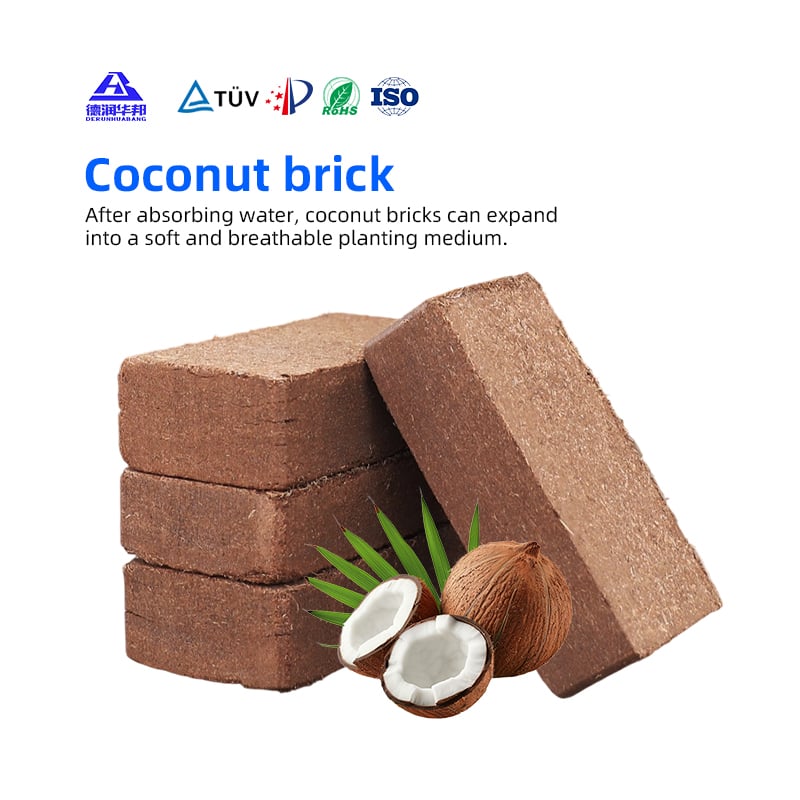 Low Salt Coco Brick For Succulents And Orchids