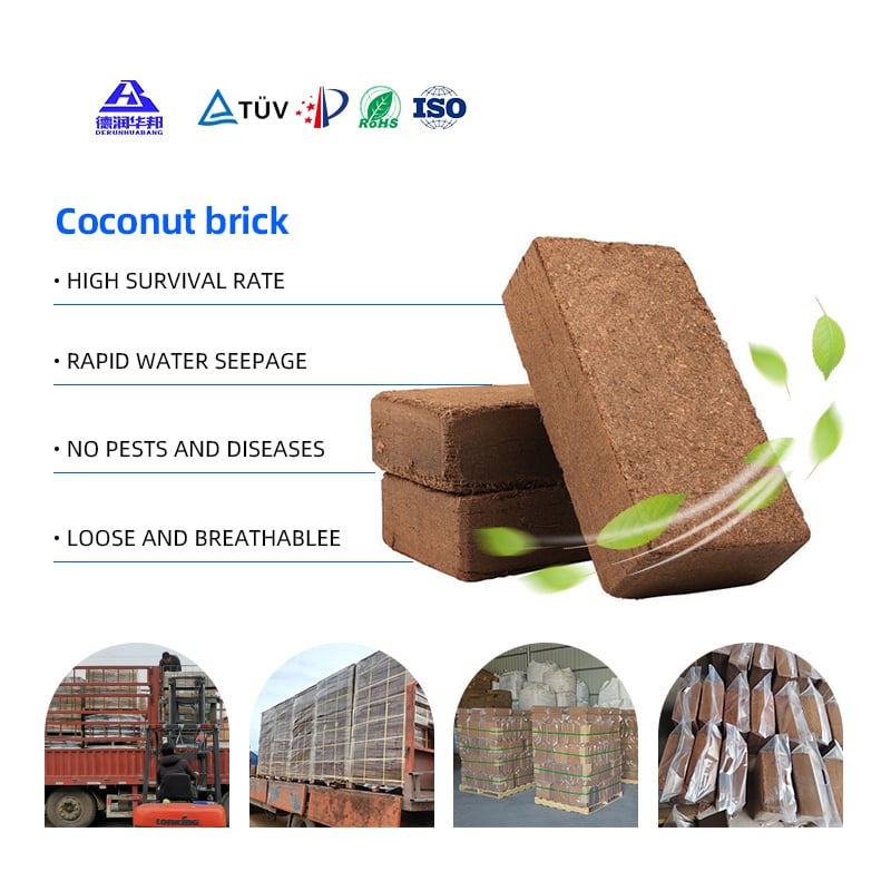 Coco Brick Nutrient Soil For Planting Flowers Vegetables