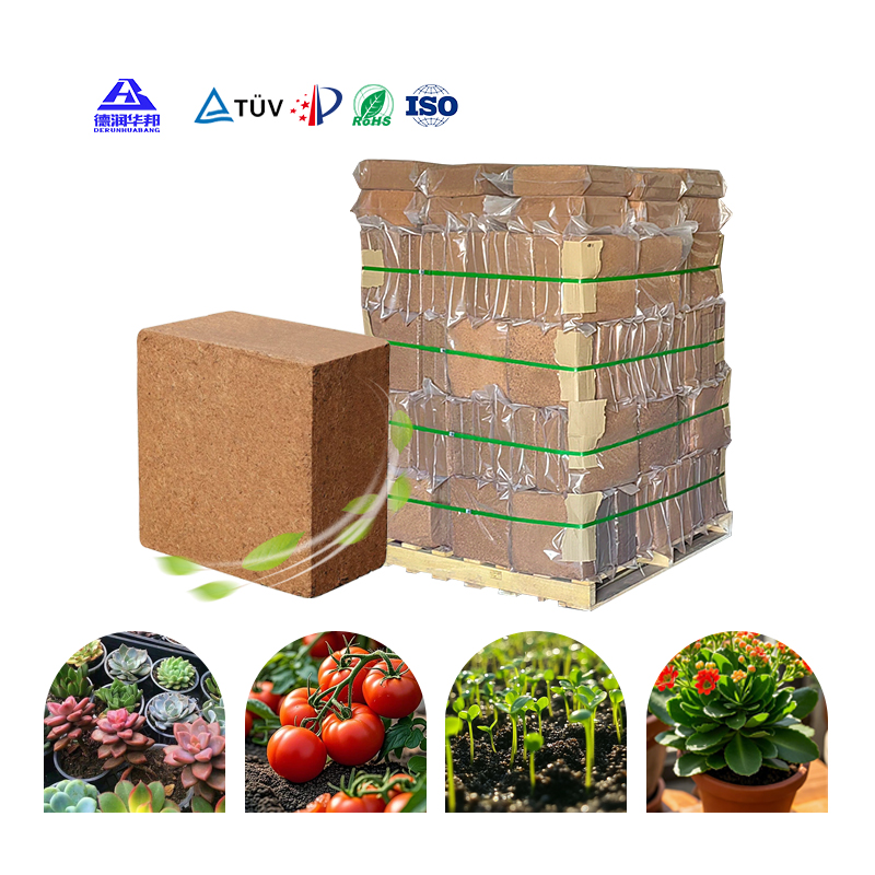 Eco Friendly Compressed Coconut Fiber Bricks For Commercial Event Decor Retail Store Displays And Brand Activation Backdrops Supporting Sustainable Event Design Needs