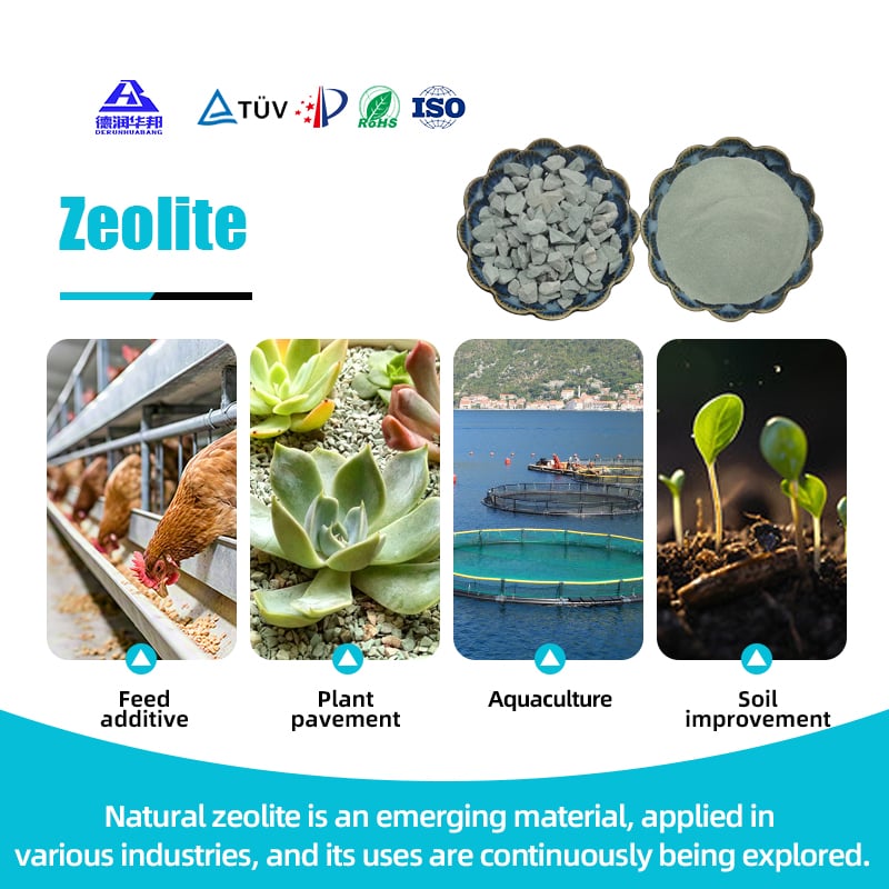 White Food Grade Zeolite Clinoptilolite Powder Green Zeolite Supply with SiO2 MF Competitive Price