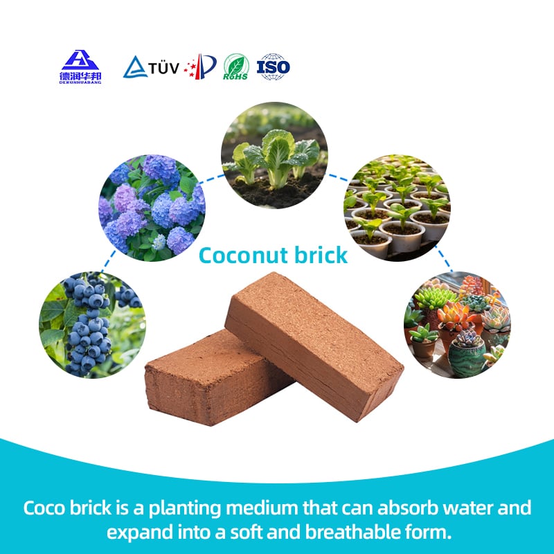 Coco Brick Nutrient Soil For Planting Flowers Vegetables