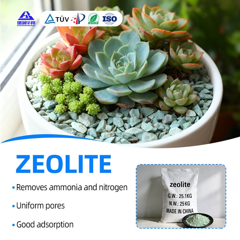 Aquaculture and Wastewater Treatment Agents Wood Pellet Ion Exchangers and Zeolite Particles for Adsorption and Separation