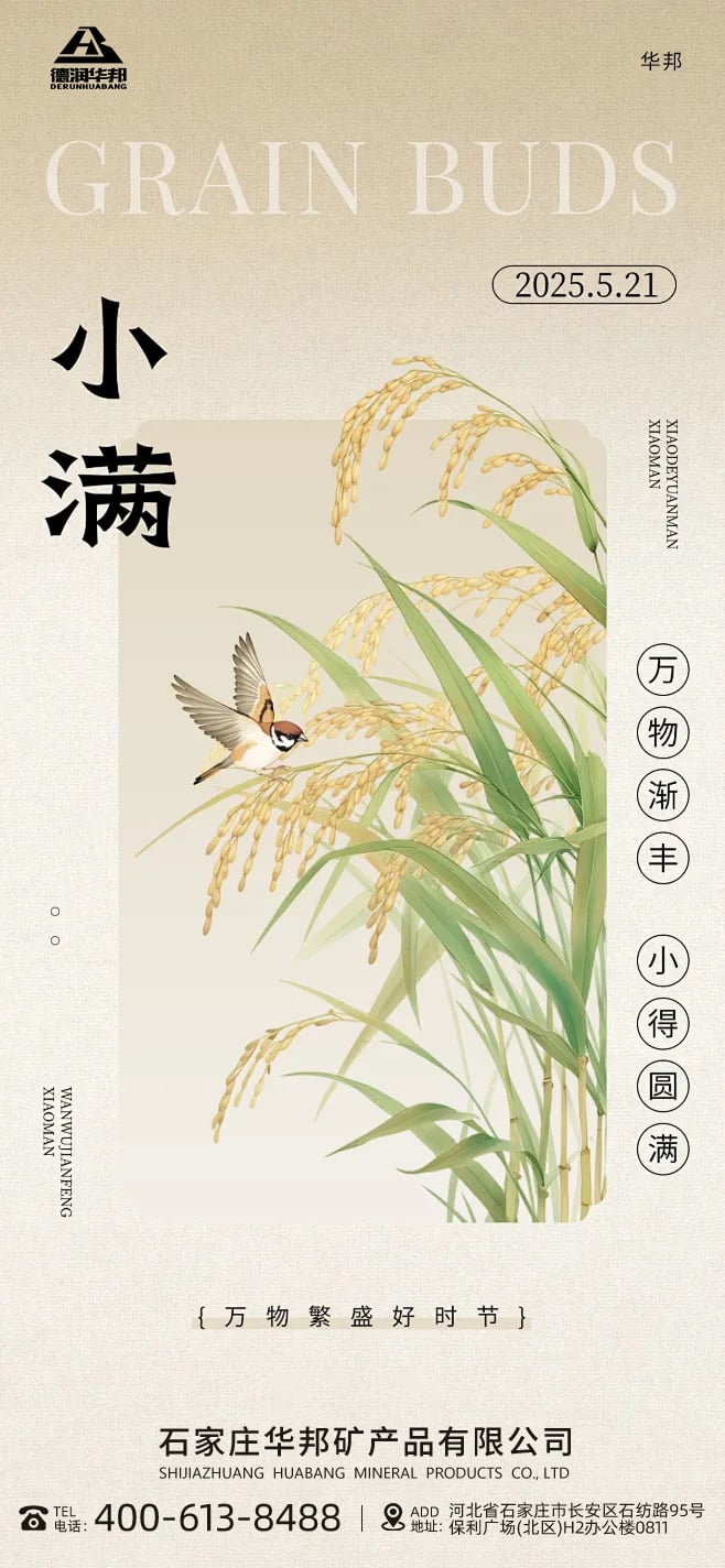  Xiaoman Traditions From Tea Picking to Praying for Harvest Rituals Rooted in Ancient Wisdom