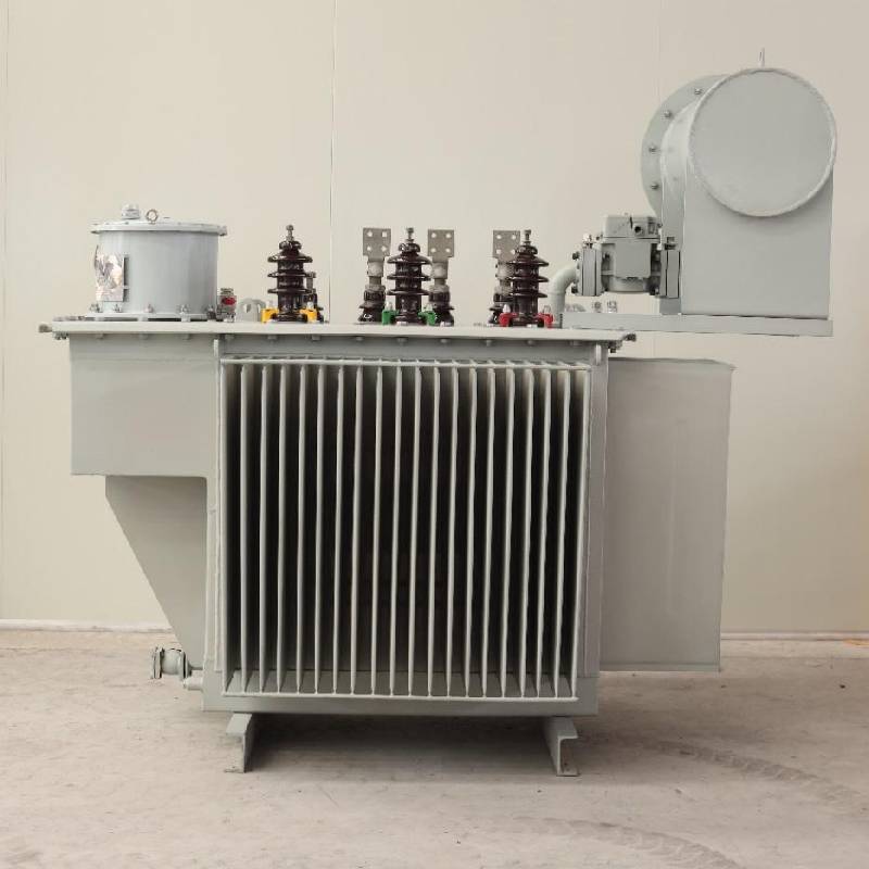 10-35kV Oil-Immersed Transformer