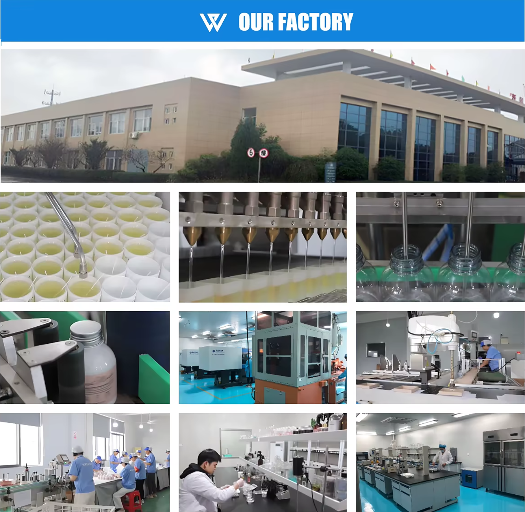 Factory profile.png