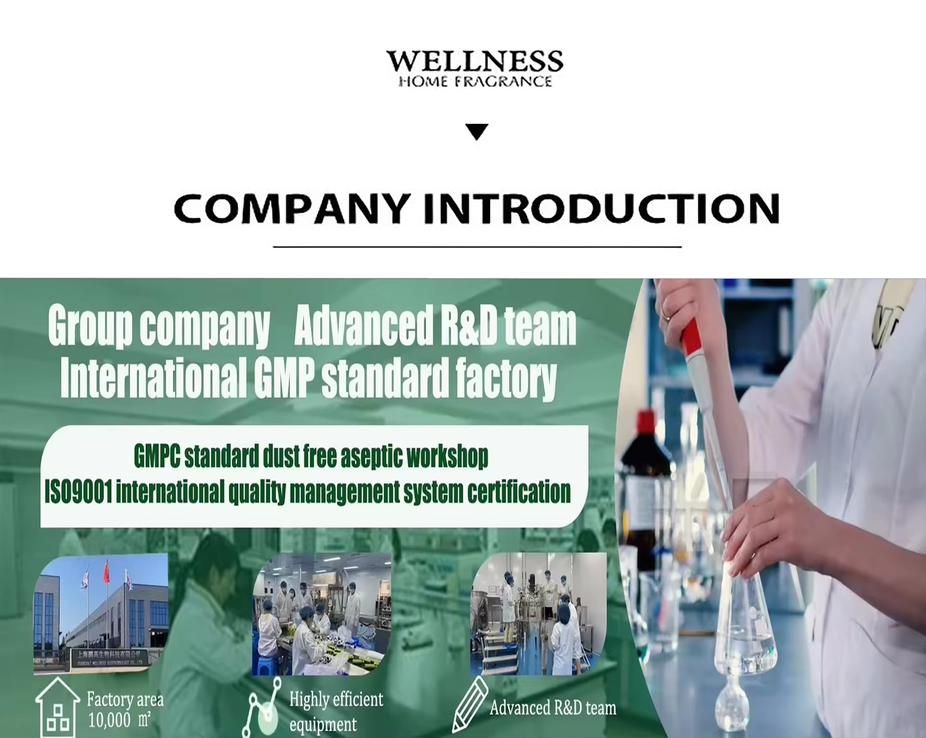 WELLNESS Company Profile(8096990c51).jpg