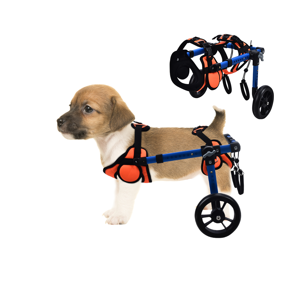 Adjustable Dog Wheelchair for Small Breeds