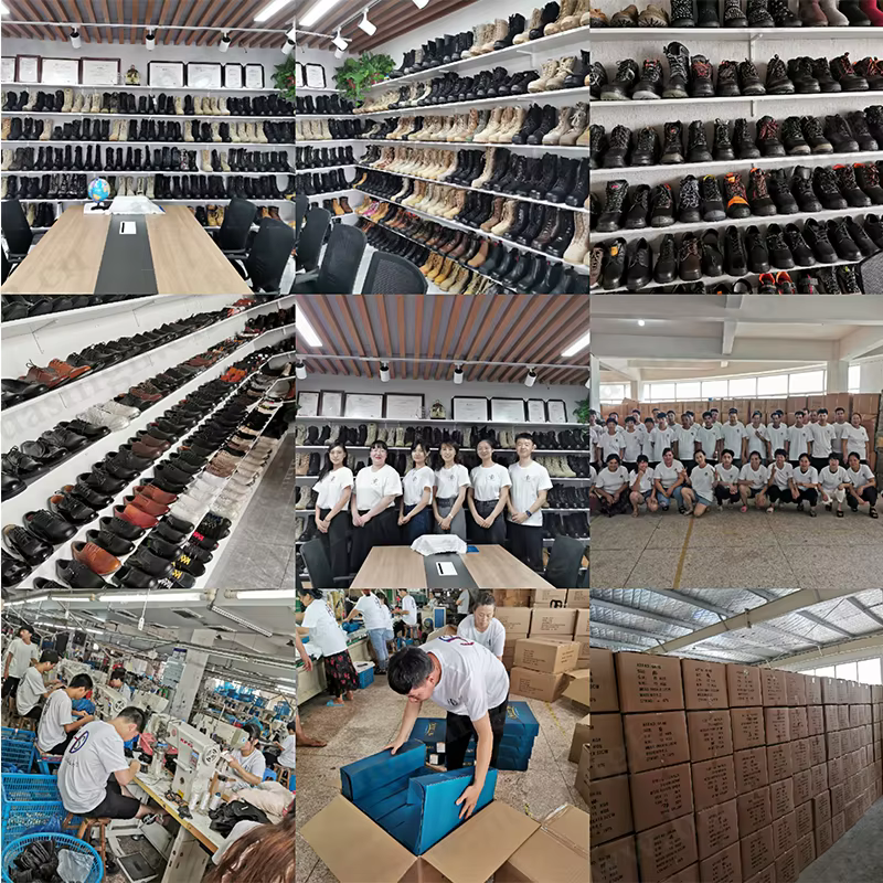 Company overview