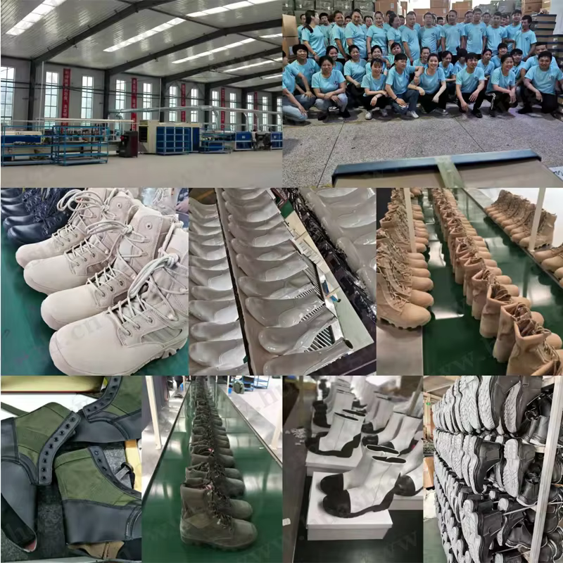 Company overview