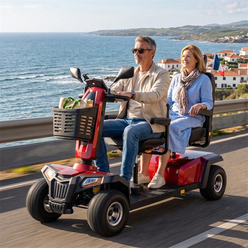Scooter électrique L10 pour deux personnes, 1400 W, 75 Ah, autonomie de 60 km