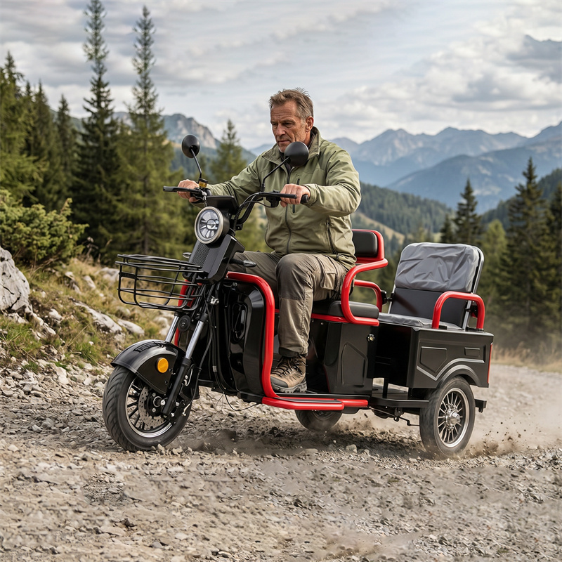 Triporteur électrique L7 à 3 roues, 1200 W, avec panier de chargement, homologué EEC