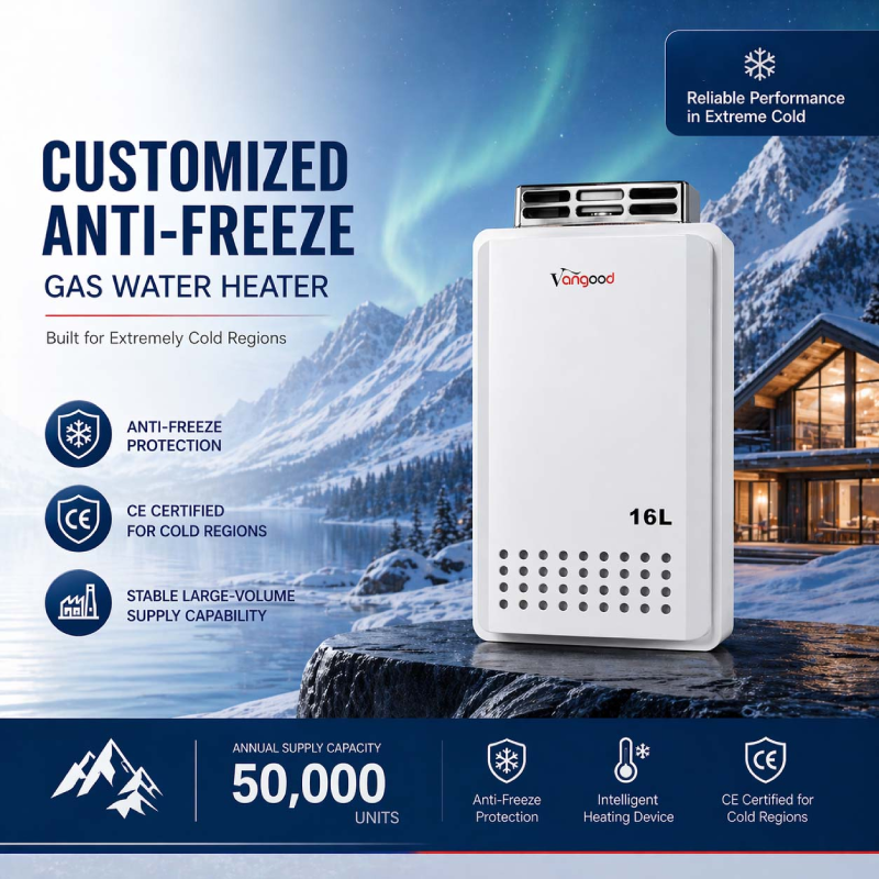 Customized Anti-Freeze Gas Water Heater