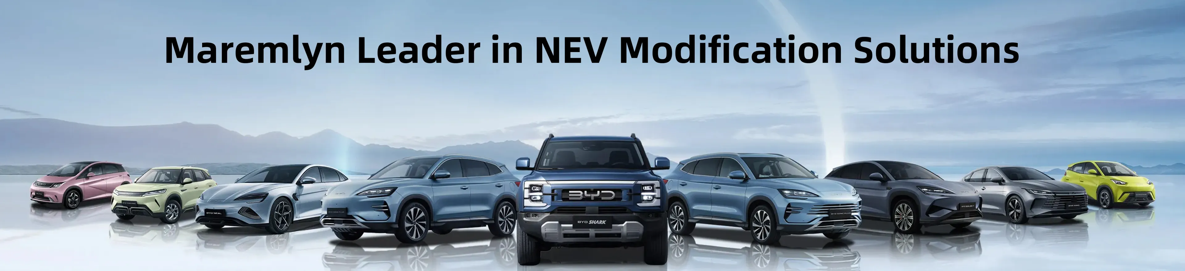 Adquisición de accesorios BYD: dónde los distribuidores pierden margen