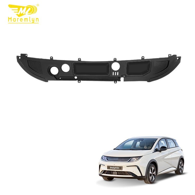 Ontdek de veelzijdigheid van de BYD Dolphin frunk