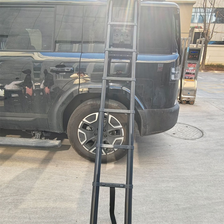 Wo Sie hochwertige Seitentritte für den BYD Leopard 5 zu wettbewerbsfähigen Preisen kaufen können