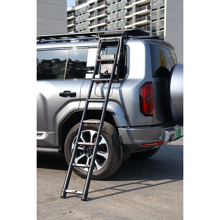 Wie Sie Ihre Investition mit den Seitentritten für den BYD Leopard 5 optimal ausschöpfen
