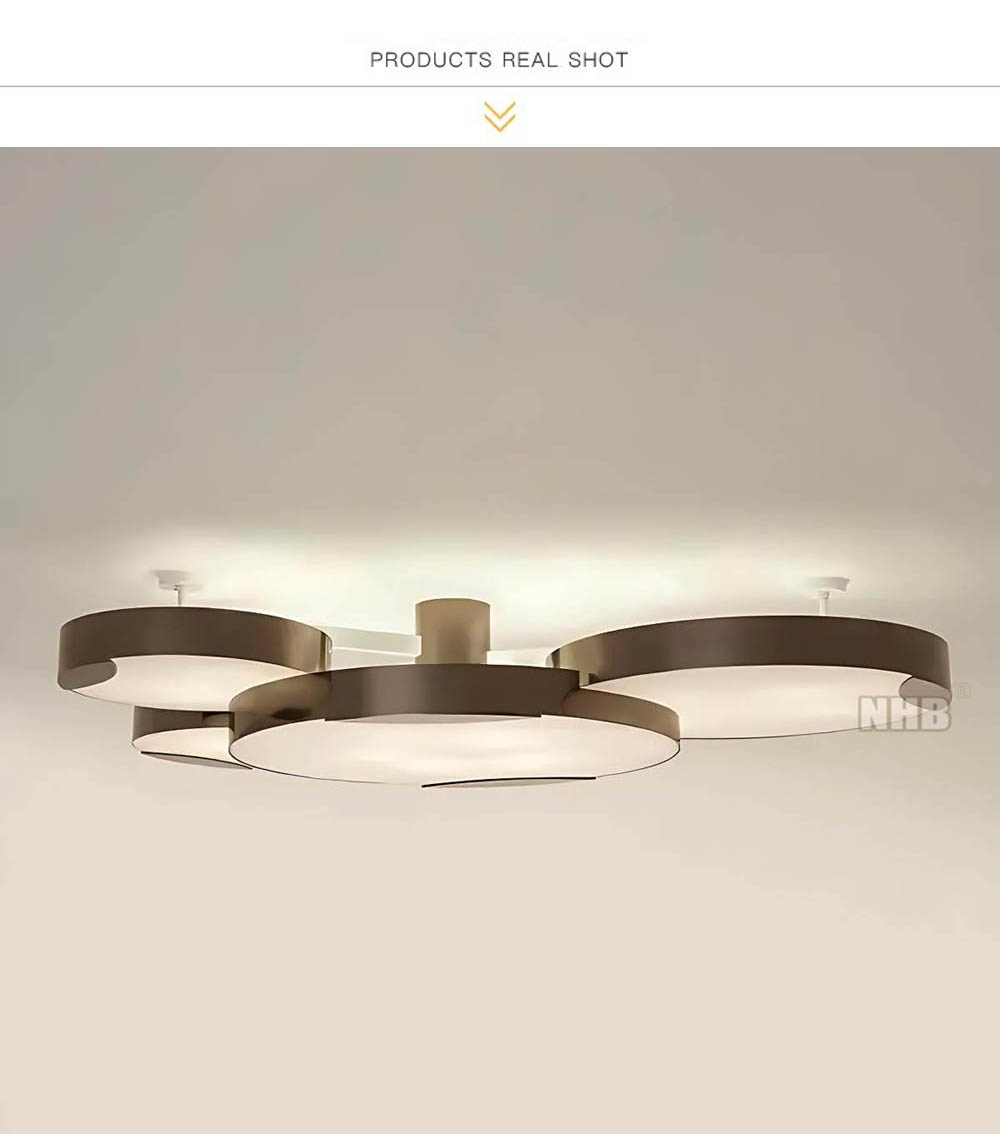 6.black-alabaster-ceiling-light-structure.jpeg