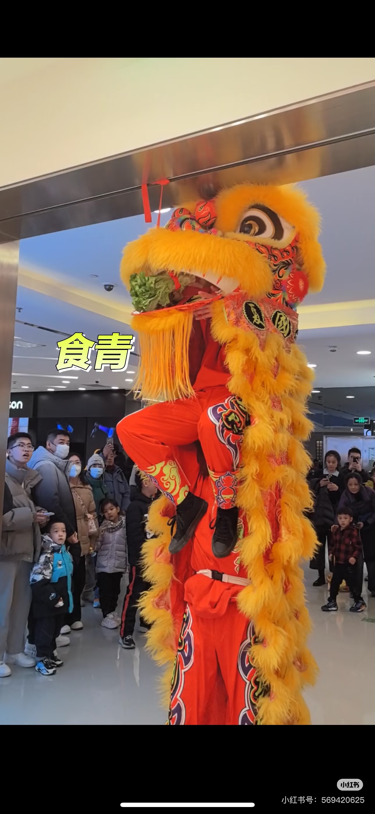 NHB Lighting Grand Opening Ceremony Traditional Lion Dance Brings Prosperity and Good Fortune
