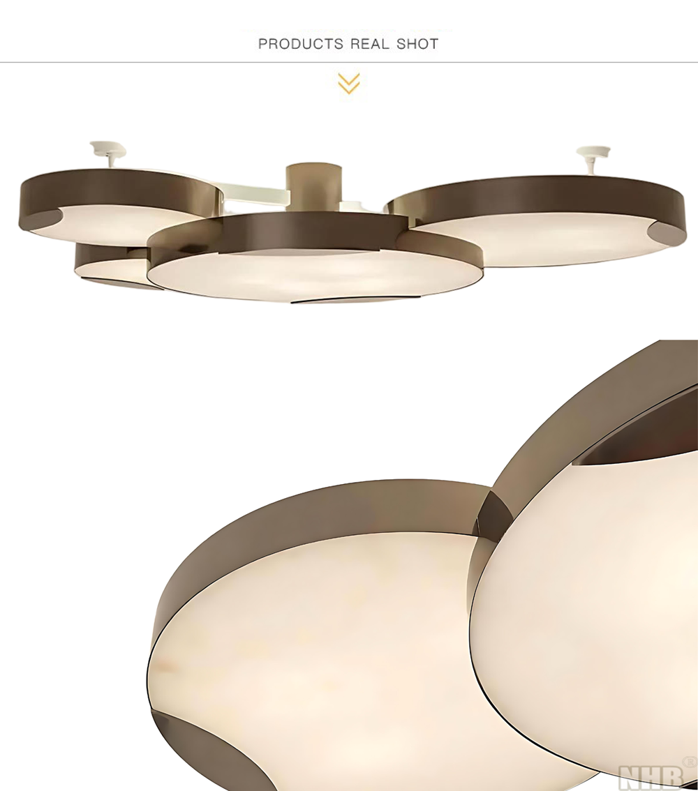 6.alabaster-ceiling-lamp-flush-mount-structure.png
