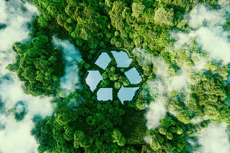 Materiais Seguros e Sustentáveis