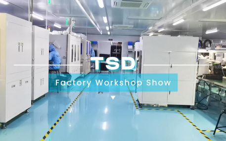 Vídeo do workshop TSD