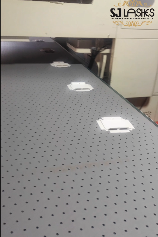 1780975613565-image.png