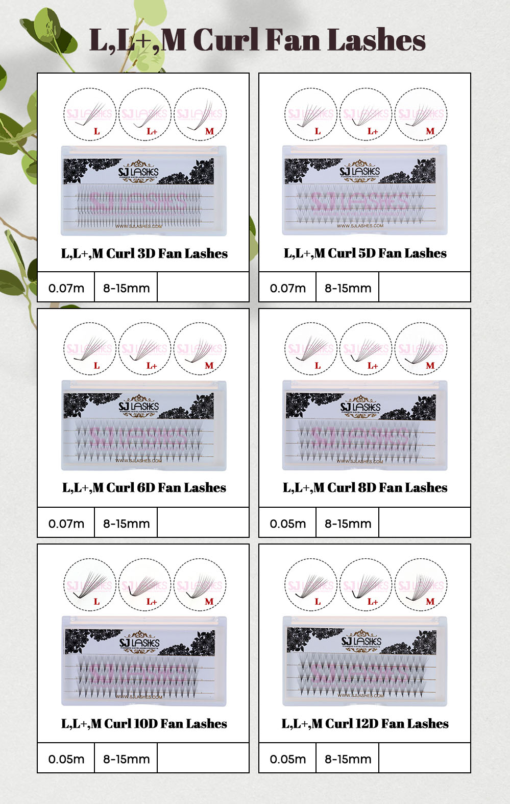 L,L+,M Curl Fan Lashes20261021 款式图.JPG