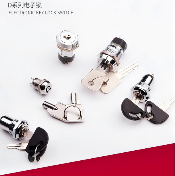 D Series Panel Mount Key Lock Switches