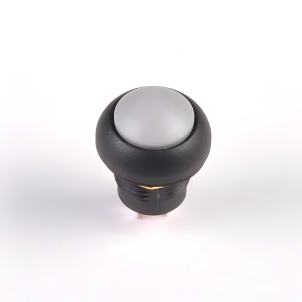 A100 Series Push Button Switch