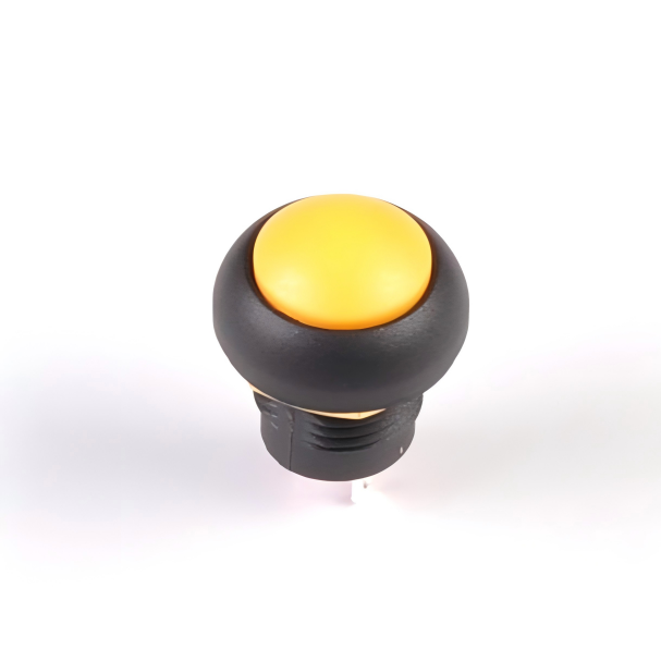 A100 Series Push Button Switch