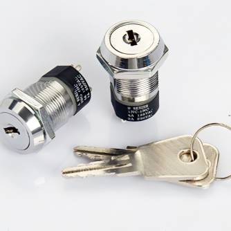 D Series Panel Mount Key Lock Switches