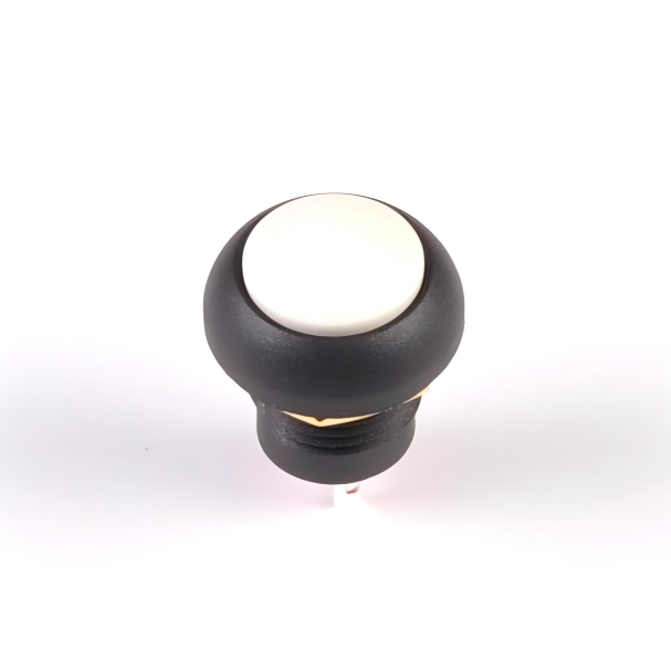 A100 Series Push Button Switch