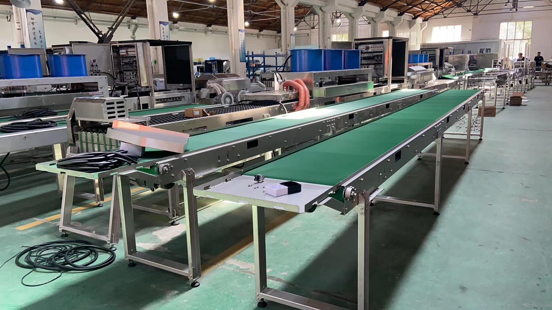 Egg transfer conveyor line