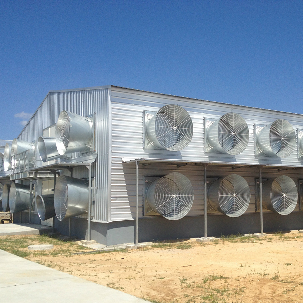 Tunnel ventilated poultry house with exhaust fans