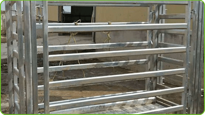 Cattle Weighing System WL-B12