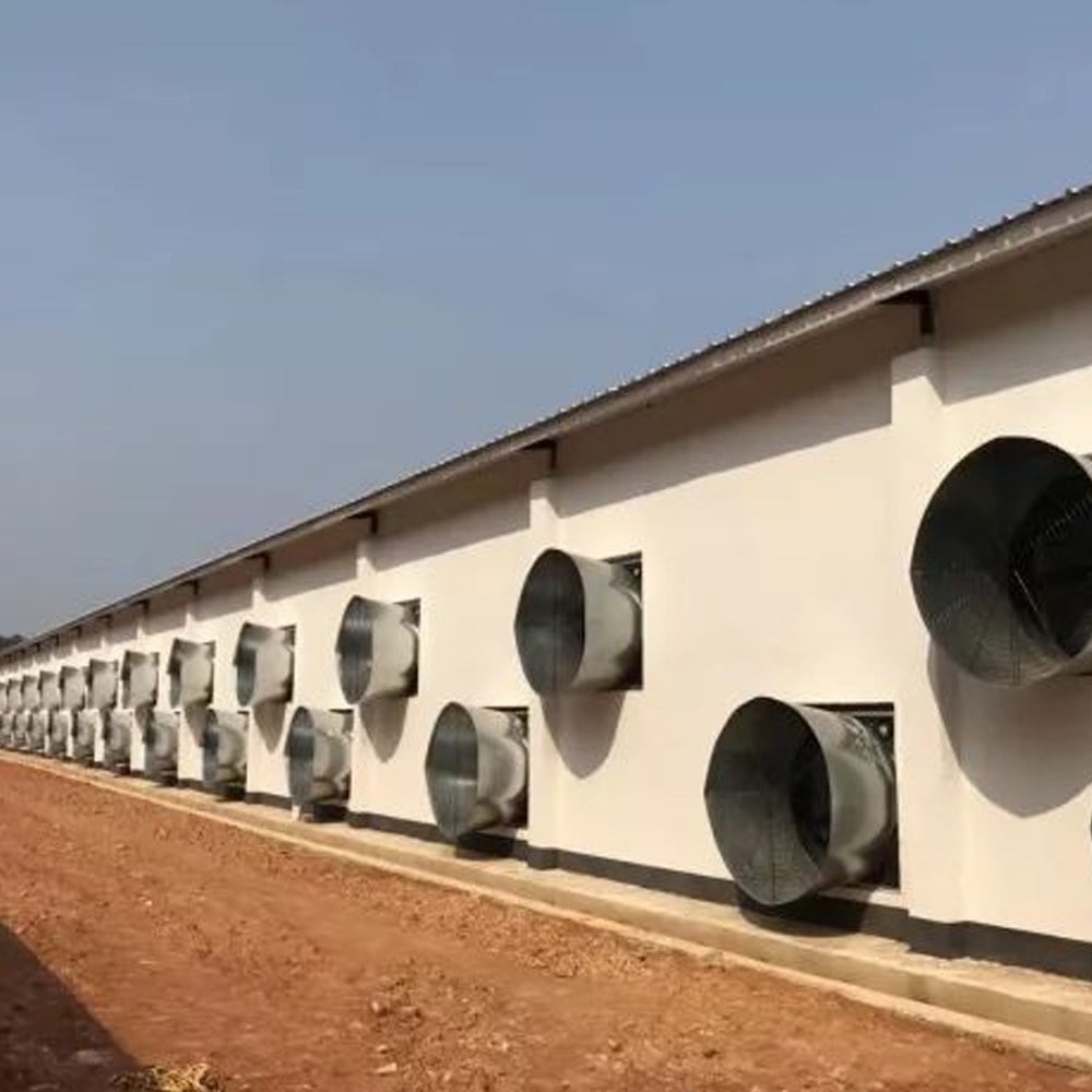 poultry house ventilation system