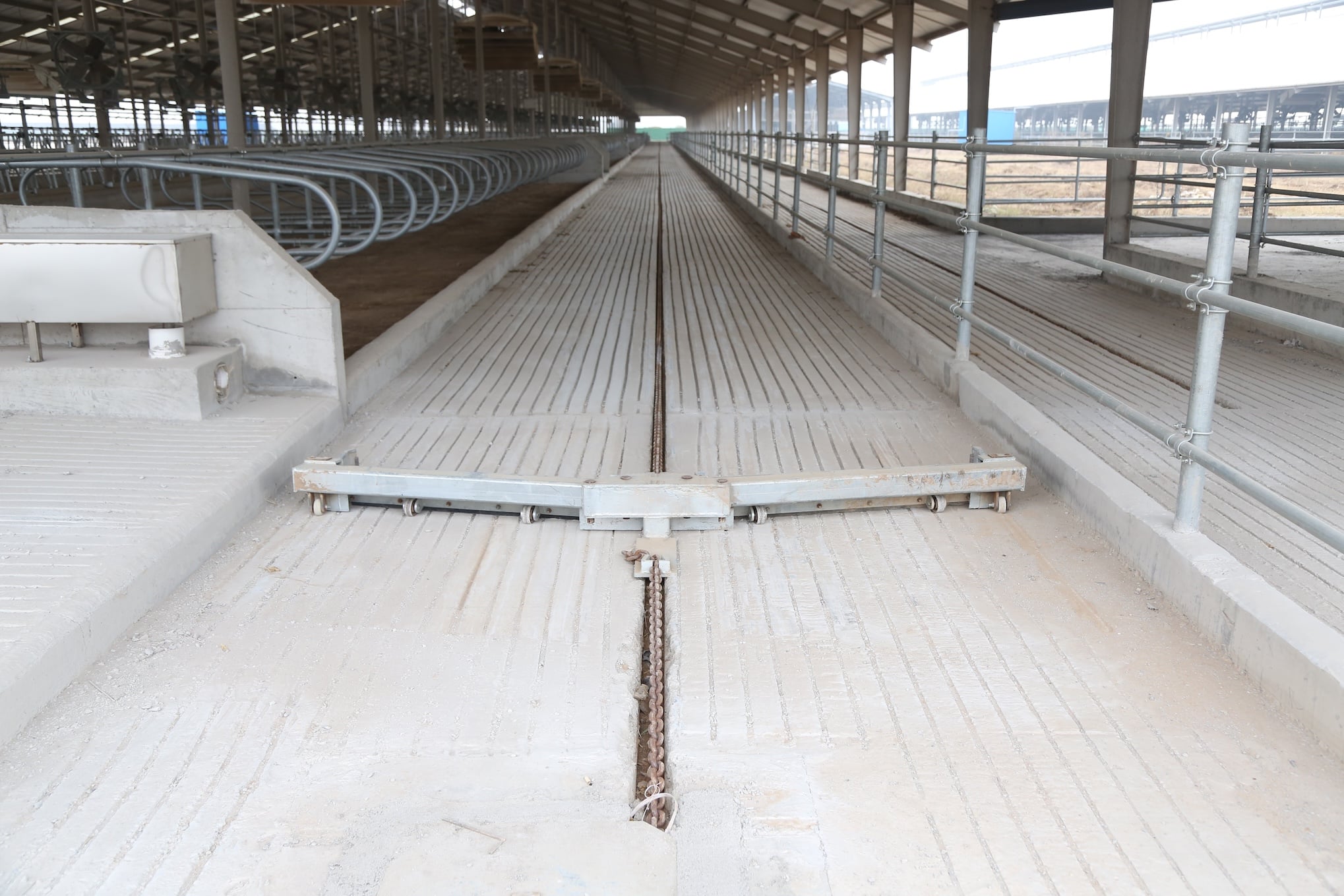 Cow floor and manure scraper system