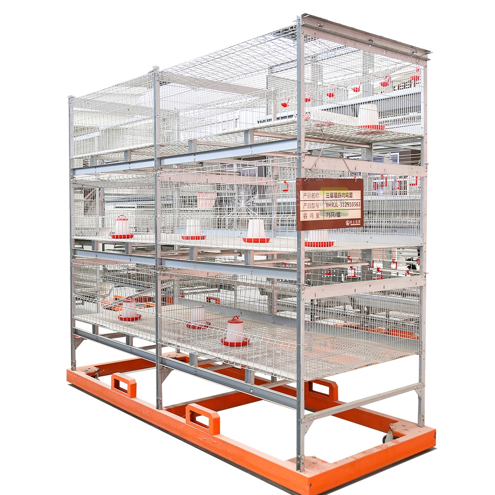 Poultry Cage for Chicks or Rearing